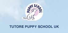 puppy school